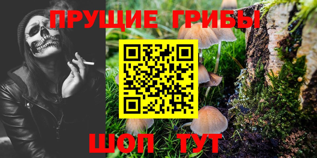 Еманжелинск  Галлюциногенные грибы Magic Shrooms  закладка  Вход с VPN 