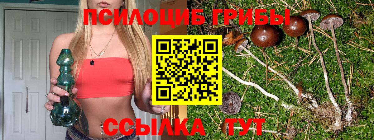 Псилоцибиновые грибы Psilocybine cubensis Еманжелинск