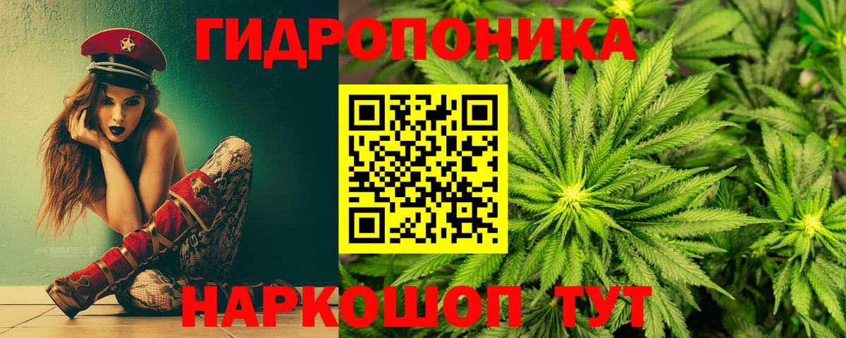 Бошки марихуана VHQ  Канабис сатива  Канабис индика  Вход с VPN  Еманжелинск  Марихуана White Widow 